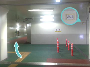 自転車駐車場・地下道の道路(A1出口付近)